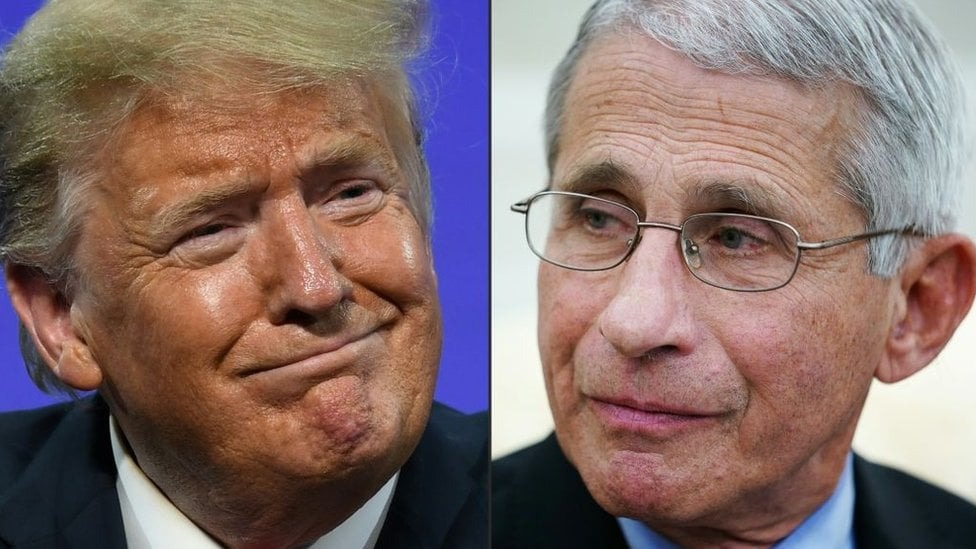 Trump e Fauci.