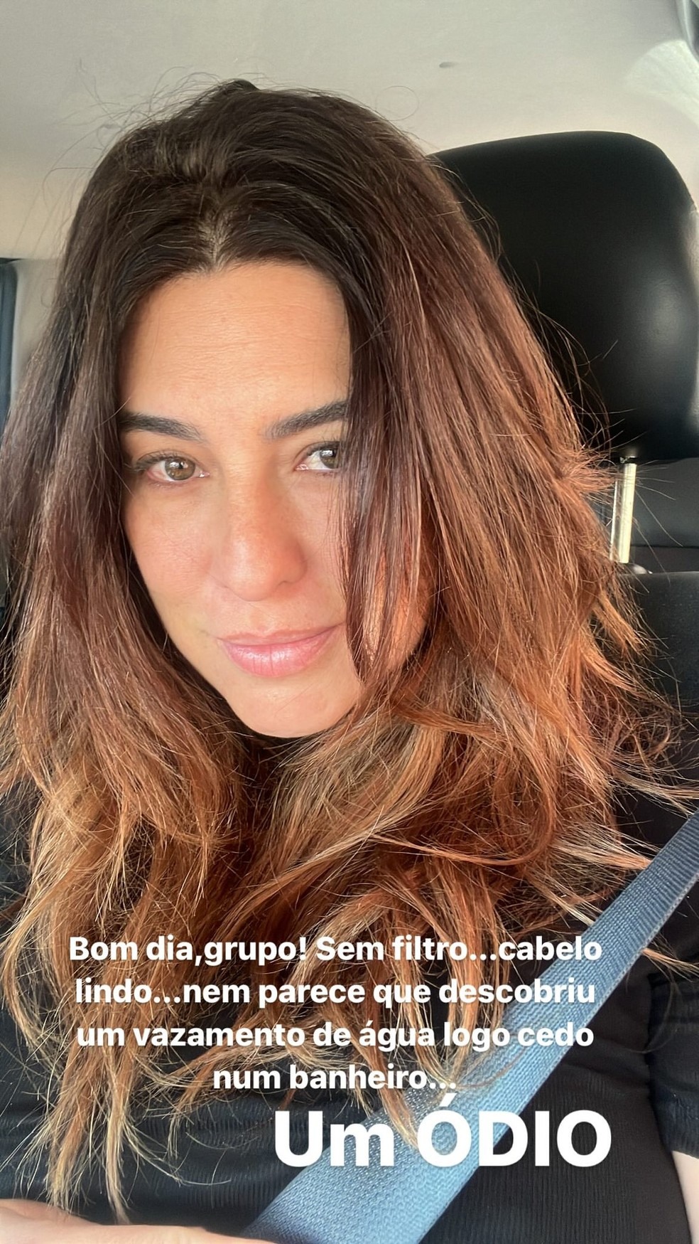 Story de Fernanda Paes Leme — Foto: Reprodução/Instagram