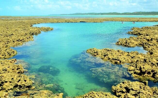 Piscina natural que foi formada graças aos corais da praia do toque.