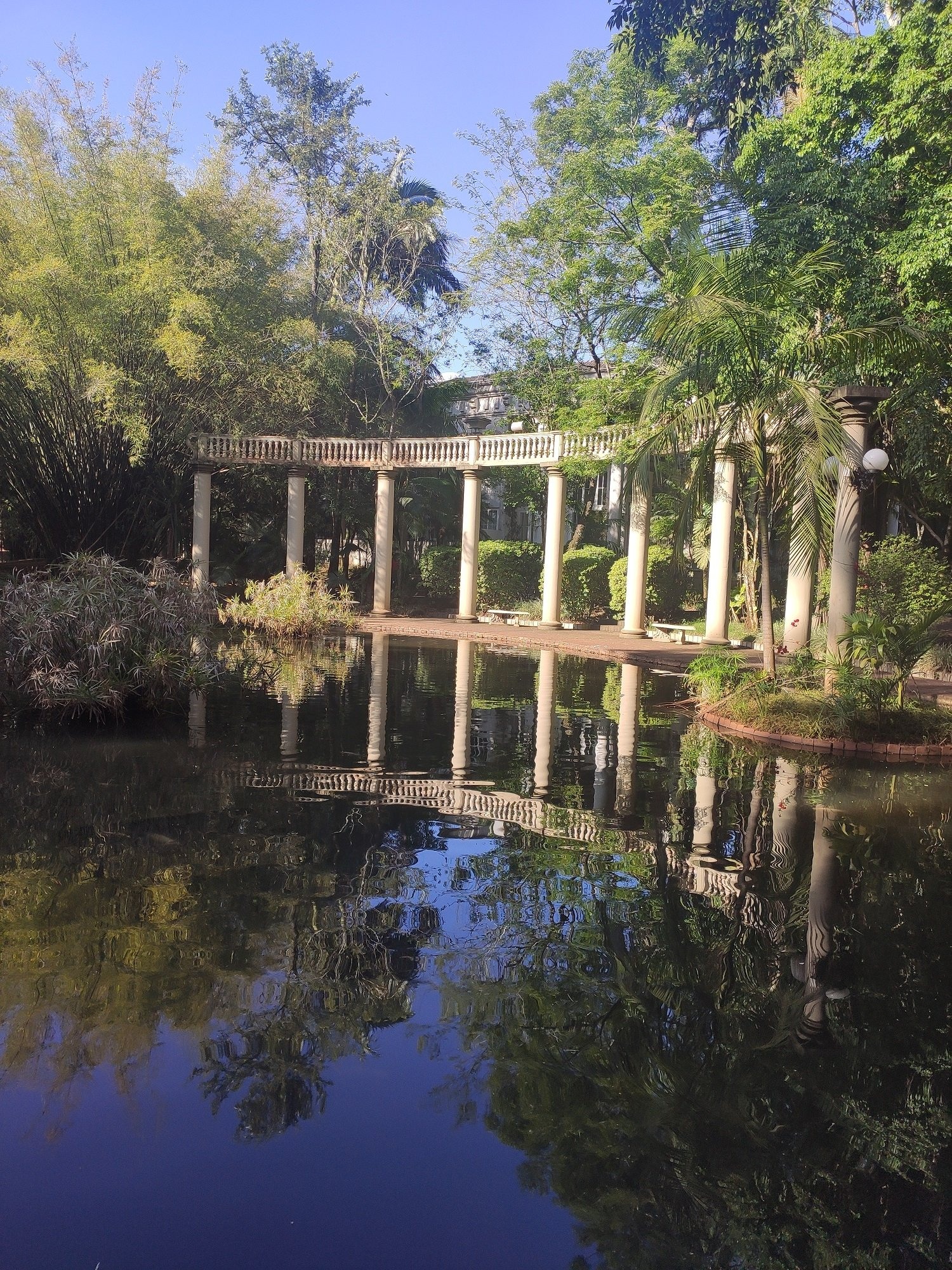 Lago com carpas - aqui a água é resfriada para que os animais possam sobreviver