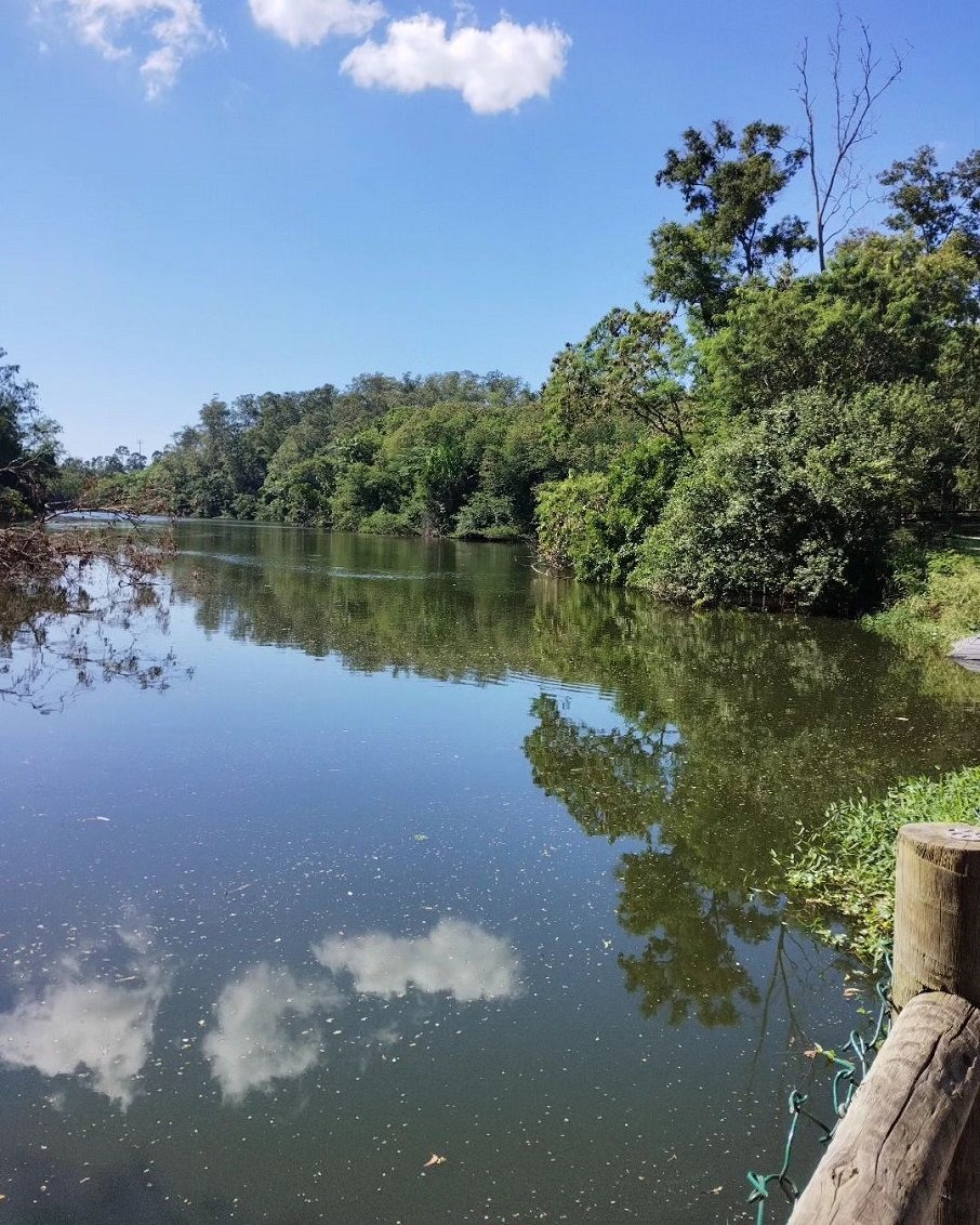 Lago no Parque Botânico da Vale, em Vitória, no Espírito Santo