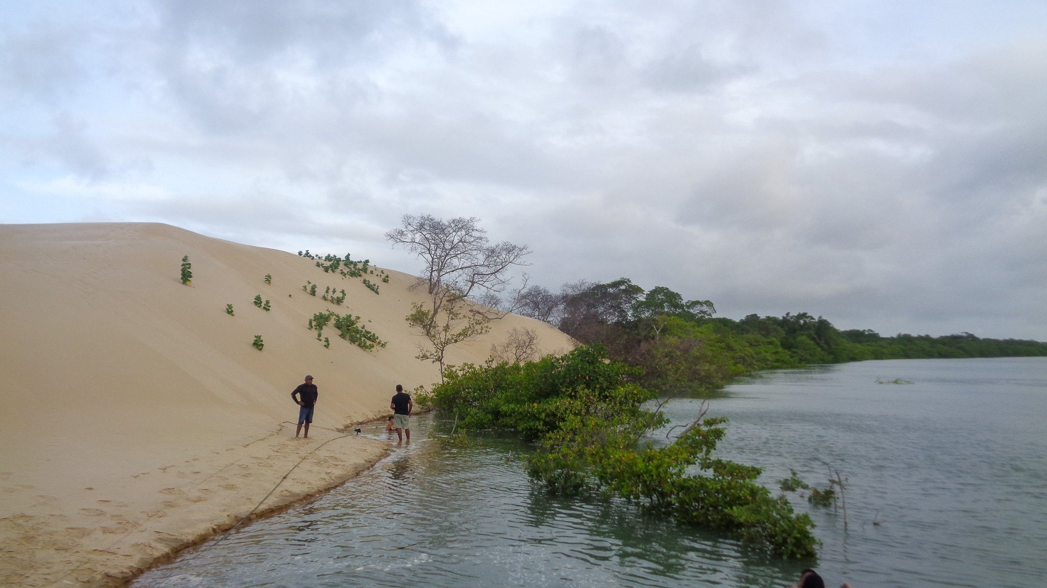 Fronhas Maranhenses 