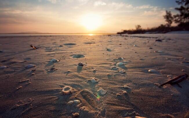 Por do sol em uma praia recheada de conchas na areia