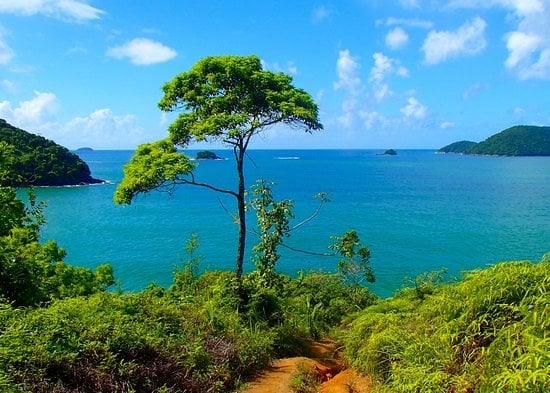 Trilha das 7 Praias - Ubatuba. Foto: Reprodução/TripAdvisor - 19.08.2022