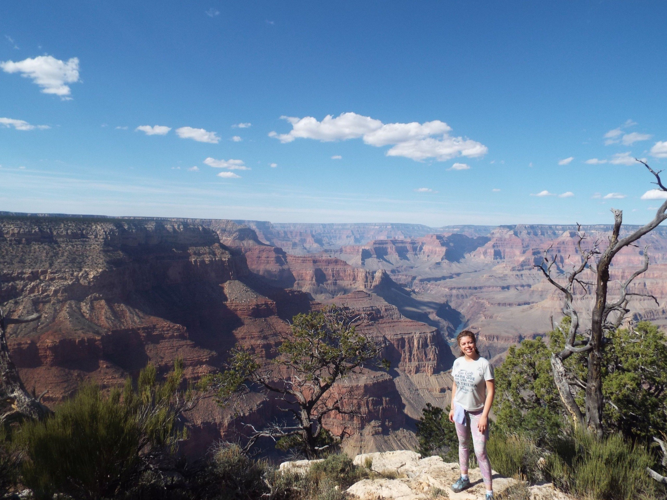 Rio colorado no fundo do canyon