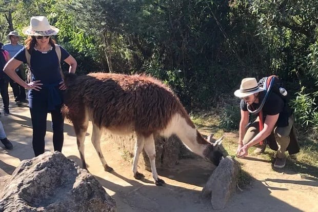 Fátima Bernardes e Túlio Gadelha em Macchu Picchu, no Peru. Foto: Reprodução/Instagram