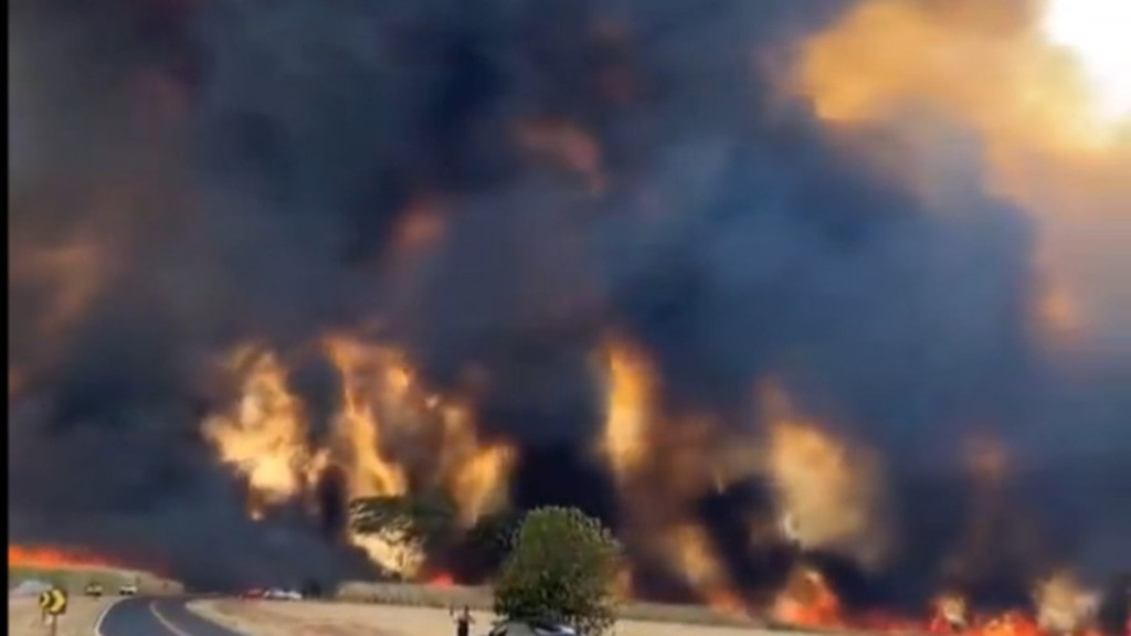 Reprodução/X Queimadas em SP levam o estado ao topo do ranking de incêndios desta semana