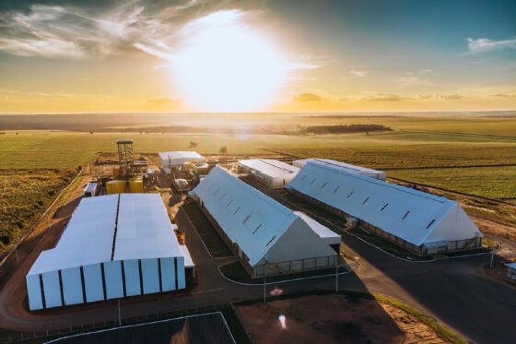 Mato Grosso inaugura a maior indústria de óleo de algodão do Brasil