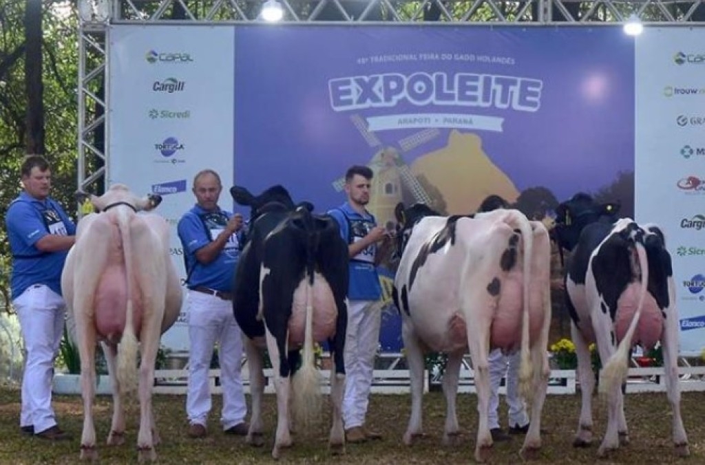 Feira de leite do Paraná dobra expectativas de faturamento