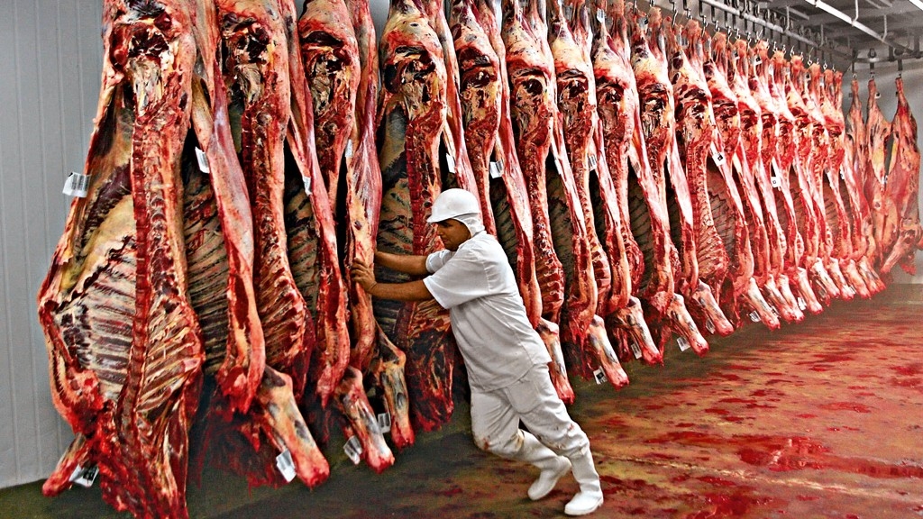 Brasil bate recorde na exportação de carne bovina em maio de 2024