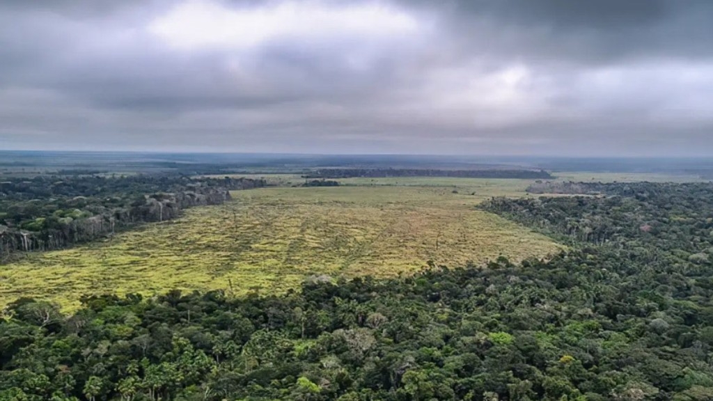 Divulgação/Polícia Federal Desmatamento dentro da área da Amazônia Legal foi reduzido