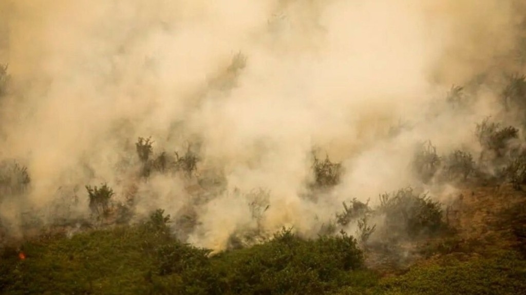 Agência Brasil Governo vai liberar R$ 100 mi para combate a incêndios no Pantanal