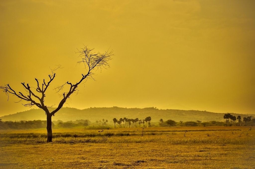 Primavera começou sem previsão de grandes mudanças climáticas