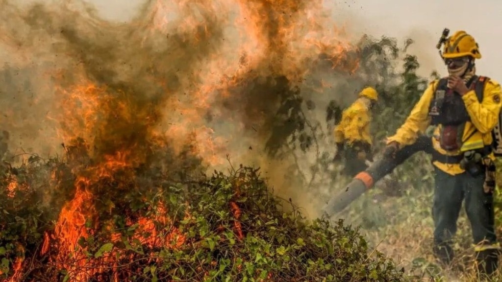 Agência Brasil Fogo já consumiu 1,3 milhão de hectares e volta a aumentar no Pantanal