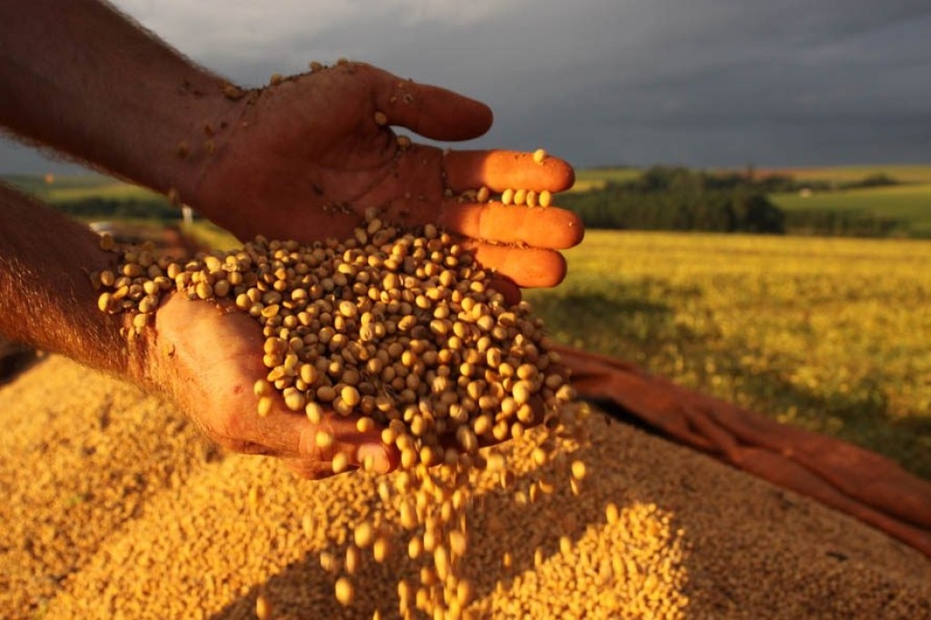 Produção de soja deverá atingir 153,2 milhões de toneladas