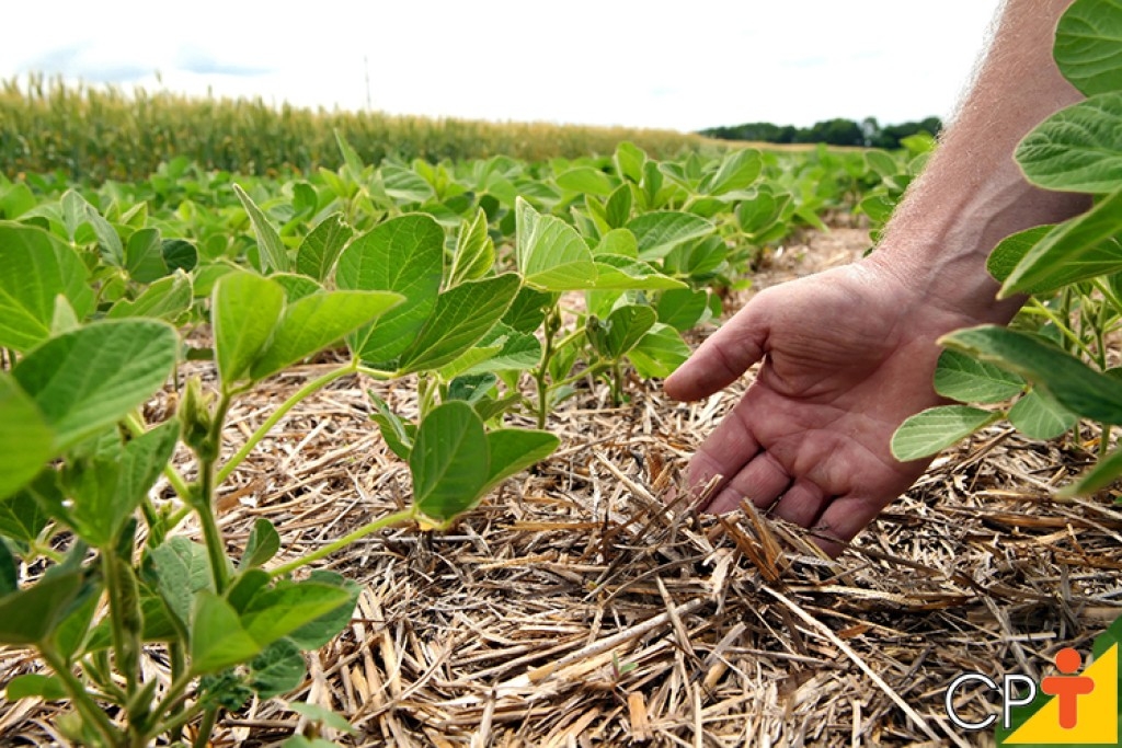 Governo lança programa para fortalecer agricultura familiar e promover sustentabilidade