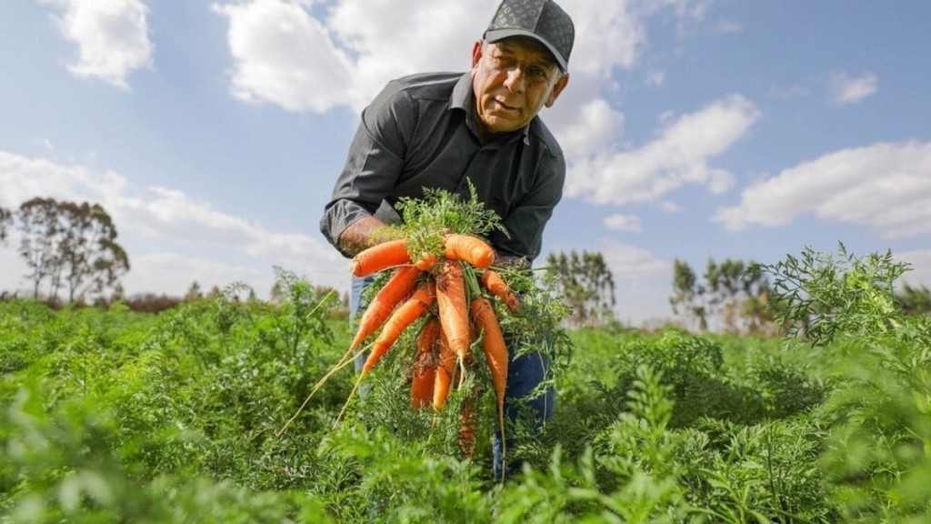 Agência Brasília DF fará maior compra de alimentos da agricultura familiar para escolas da história