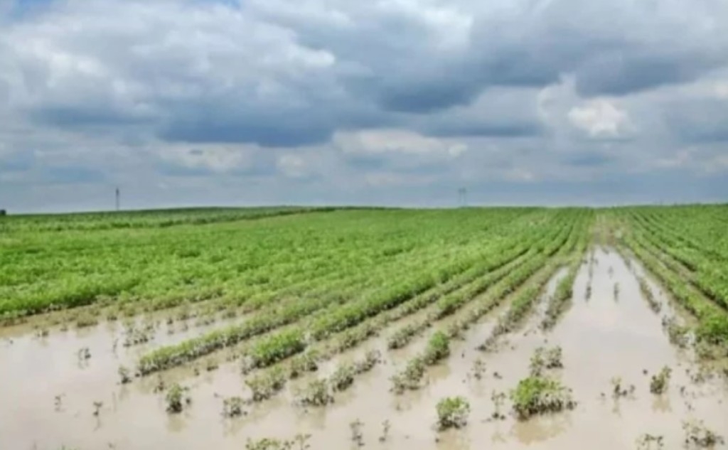 Mundo precisa de R$ 55 trilhões anuais para reduzir efeitos das mudanças climáticas