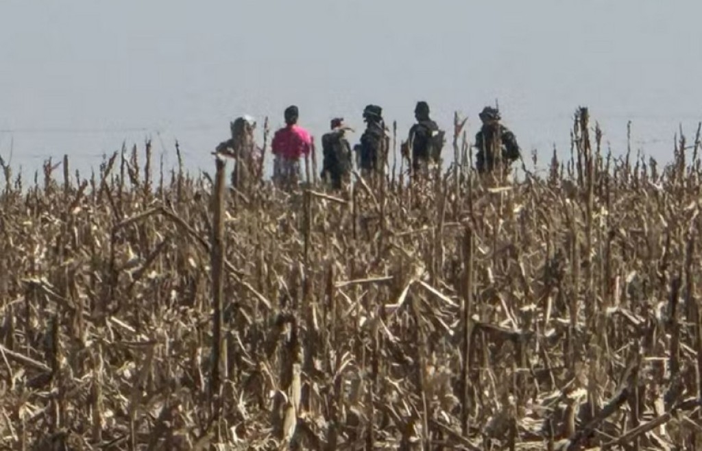 Tensão no campo aumenta com indefinição sobre Marco Temporal. Confronto deixa 11 feridos no MS