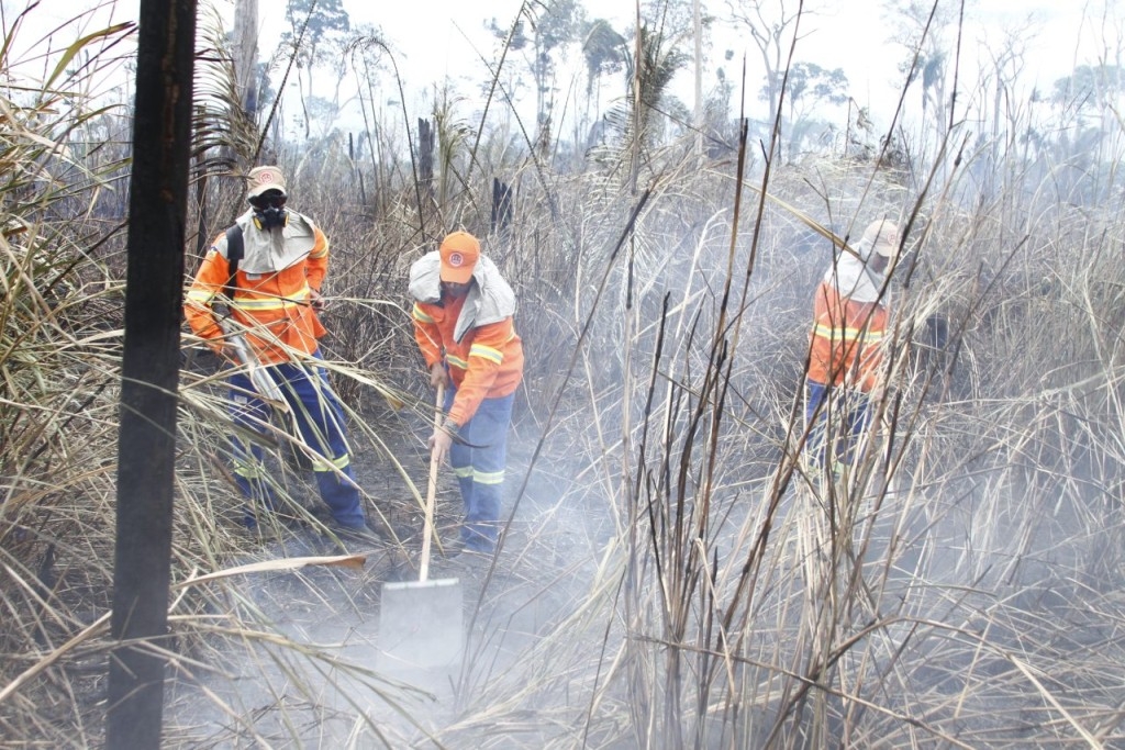 Emergência: Rondônia registra 4,8 mil focos de incêndio