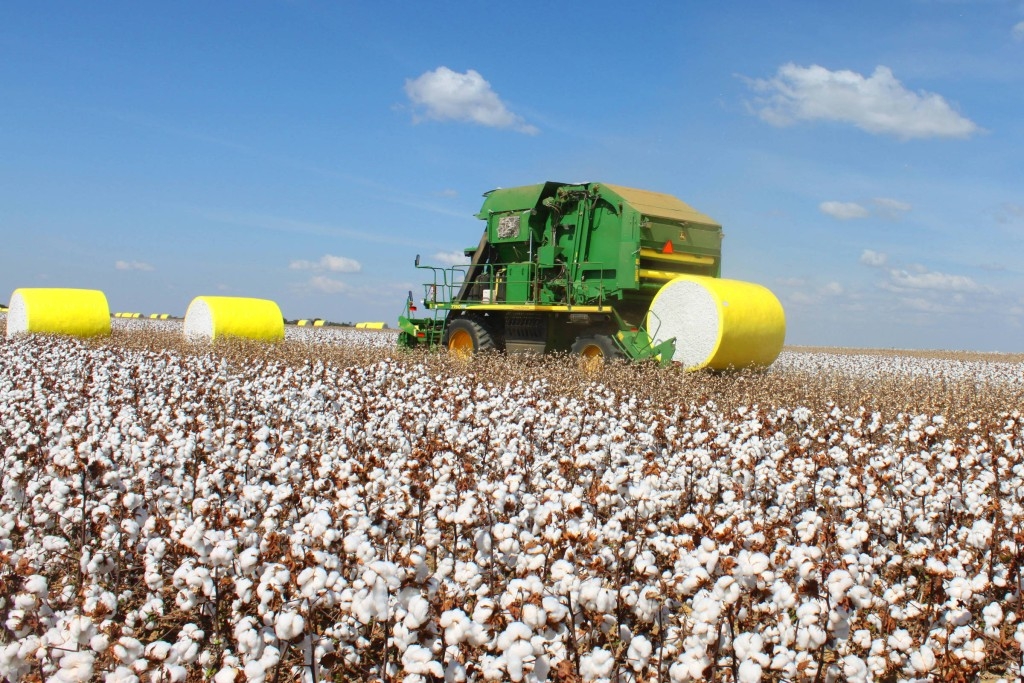 Ceará sedia Congresso e destaca protagonismo do Brasil no mercado internacional