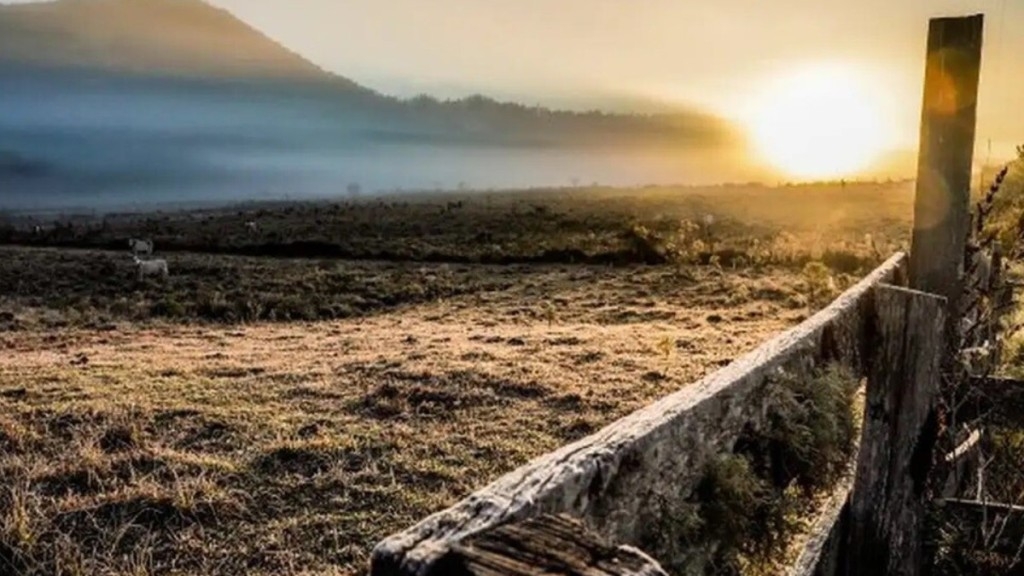 Agência Brasil Região Sul do País tem geadas e temperaturas abaixo de zero