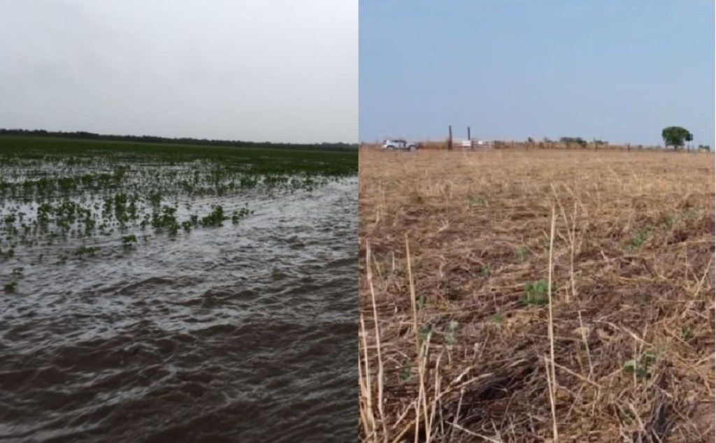 Brasil vive intempéries climáticas: no Sul chuva e frio; no norte seca e calor