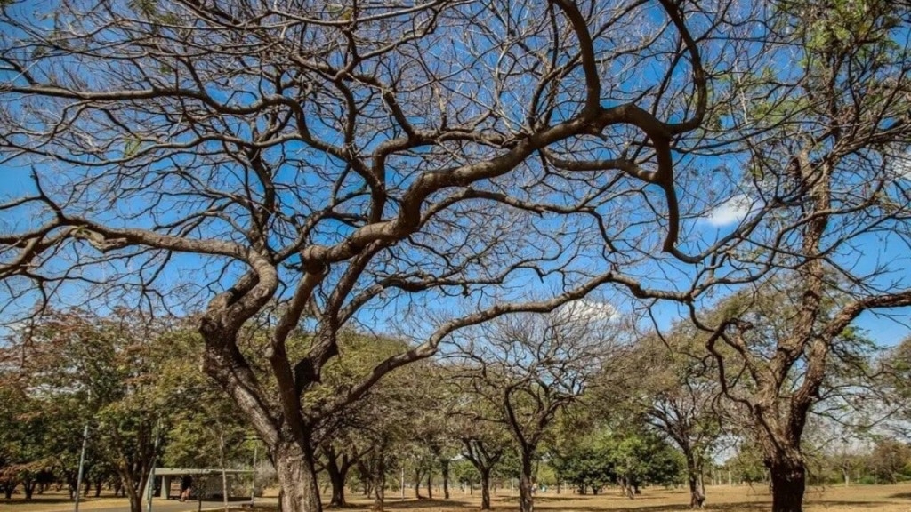 Agência Brasil Inmet alerta sobre baixa umidade no Centro-Oeste