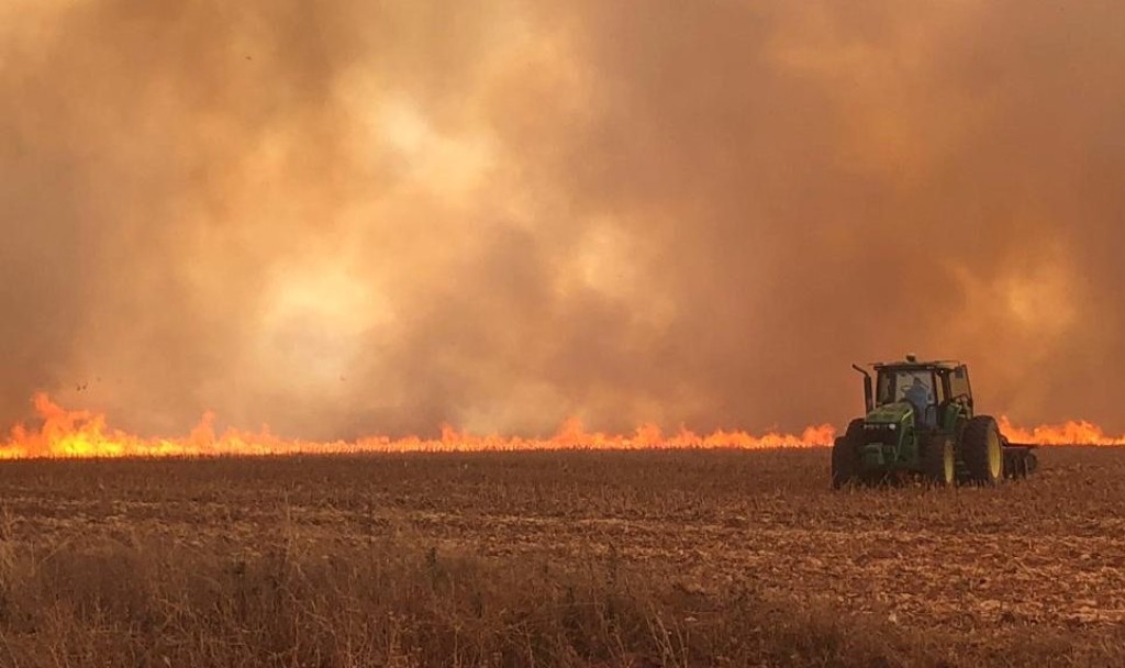 Incêndios em São Paulo afetaram 8 mil propriedades rurais e deixaram R$ 2 bi de prejuízos