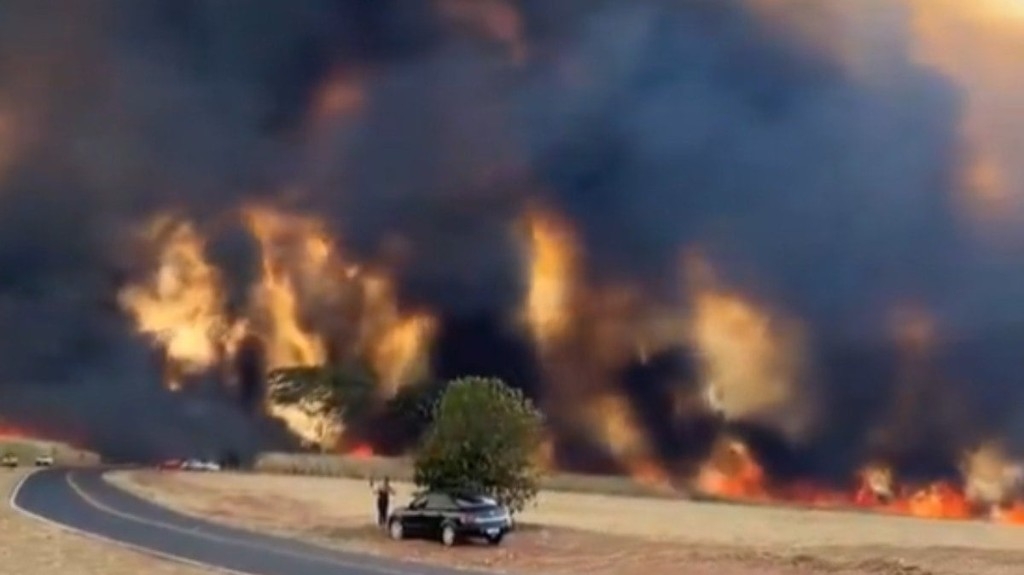 Reprodução/X Queimadas em SP levam o estado ao topo do ranking de incêndios desta semana