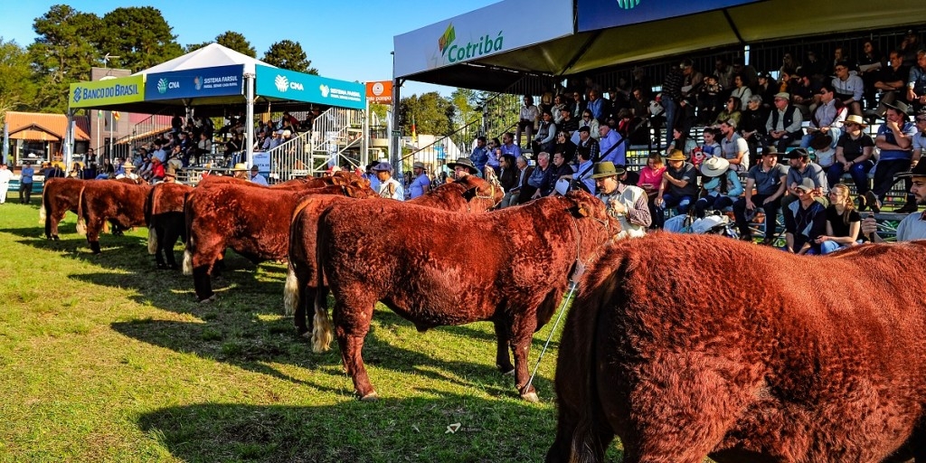 47ª Expointer termina com faturamento de R$ 8,1 bilhões