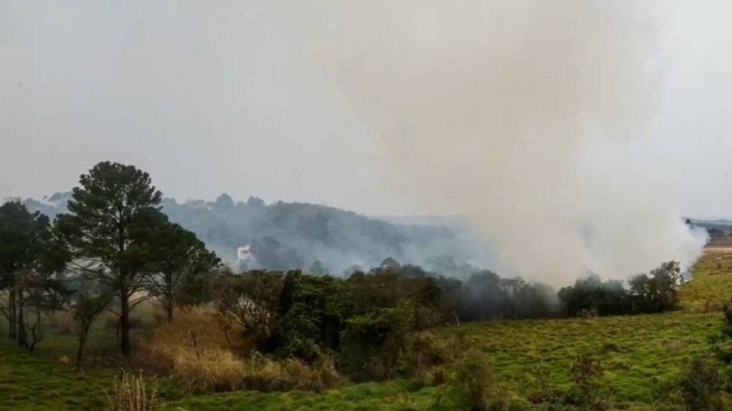 Agência Brasil Polícia prende quinto suspeito de incêndios criminosos em SP