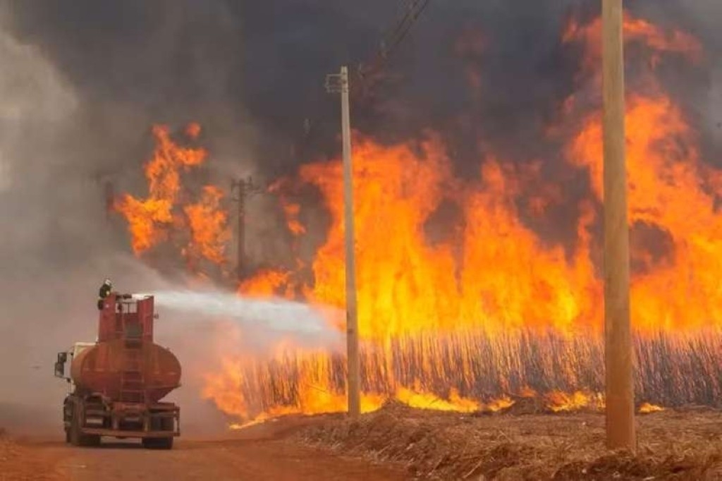 Ações sobem e mercado lucra com os incêndios em São Paulo