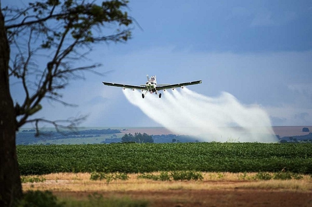 Culpa do clima: uso de defensivos agrícolas aumentou 9,5% ano passado