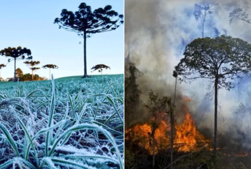 Gelo e fogo: alerta de geada no Sul, mas calor, seca e incêndios continuam no restante do país