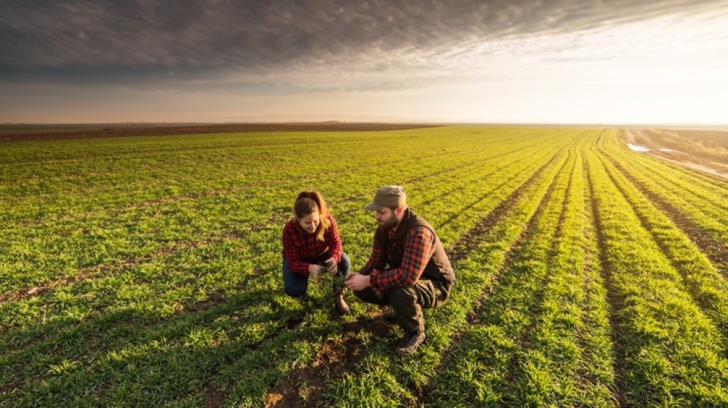 Indefinição sobre “produtor rural” compromete crédito e desenvolvimento no agronegócioo brasileiro