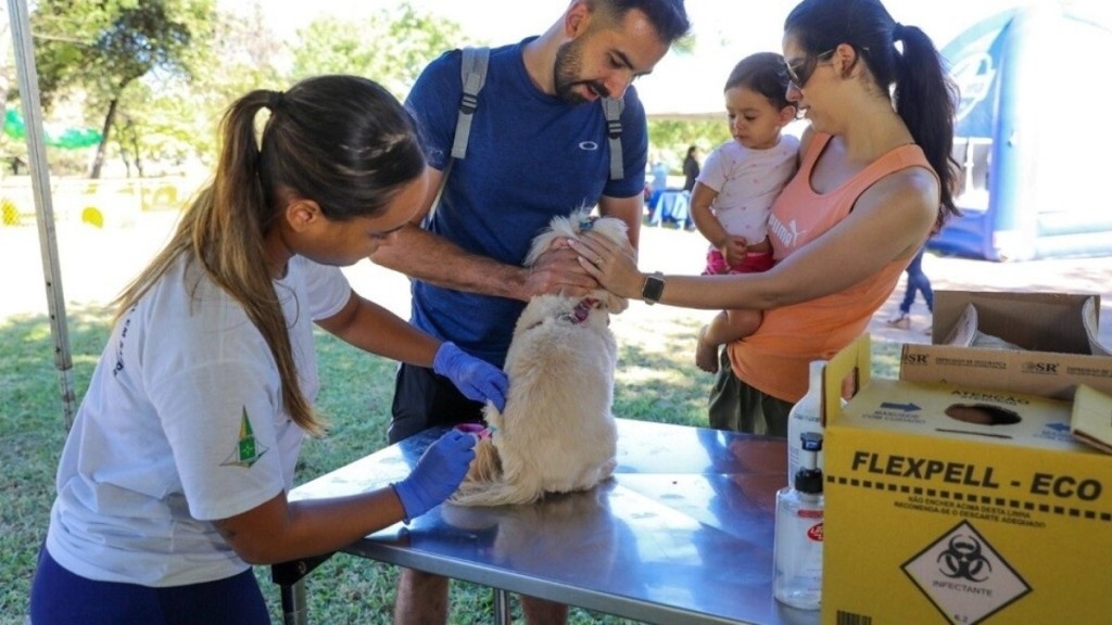 Agência Brasília Julho Dourado levanta a importância de vacinar os pets e prevenir zoonoses