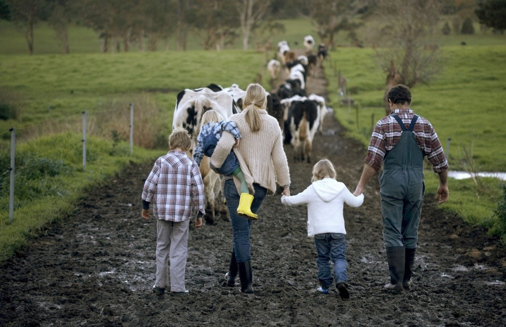 Dia do Agricultor: celebramos a fé e a força que vem do campo