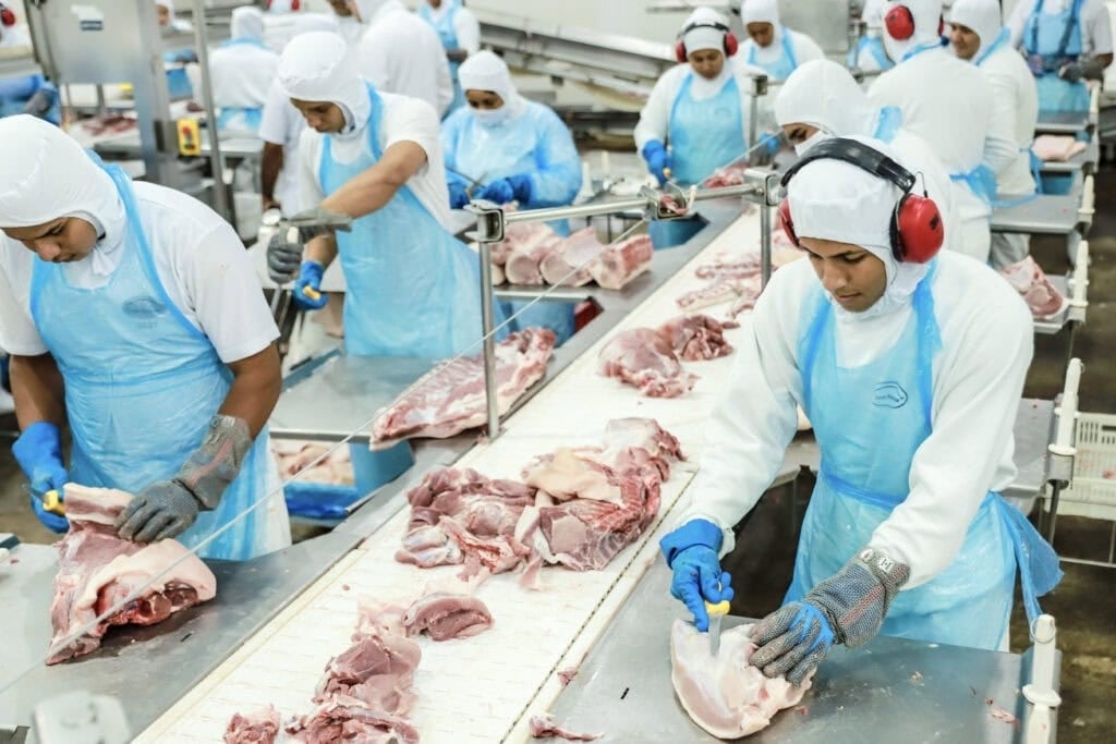 Produção de carne suína e de frango devem atingir novo recorde em 2025