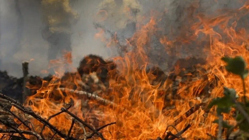 Agência Brasil Quase um quarto do território brasileiro pegou fogo nos últimos 40 anos