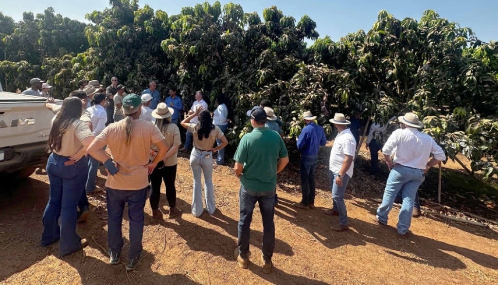 Tocantins promove Rota da Fruticultura reunindo produtores, técnicos e pesquisadores