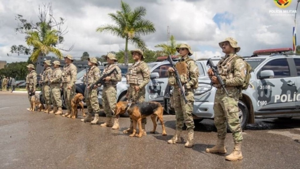 Agência BrasíliaCães treinados pela PMDF atuam na identificação de explosivos na