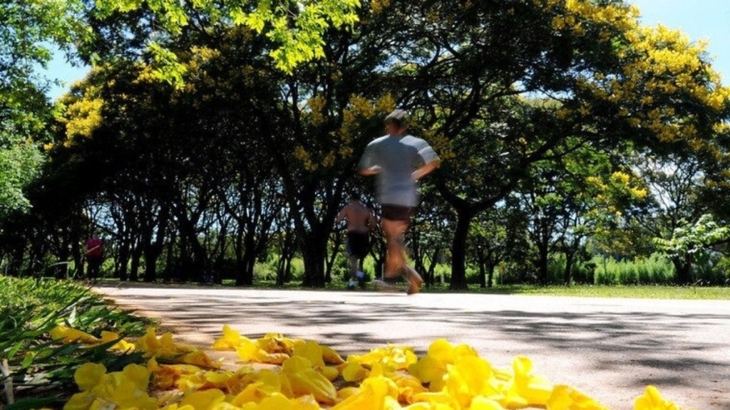 Agência Brasília Lagoa dos Patos no Parque da Cidade terá ação de limpeza neste sábado (20)