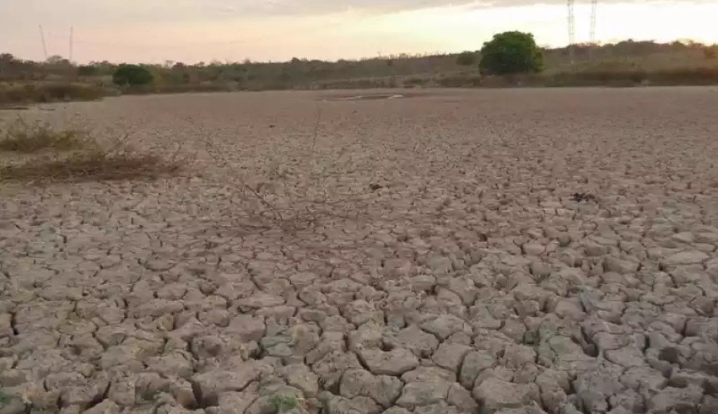 Estiagem atrasa plantio e pressiona diversos setores do agronegócio brasileiro