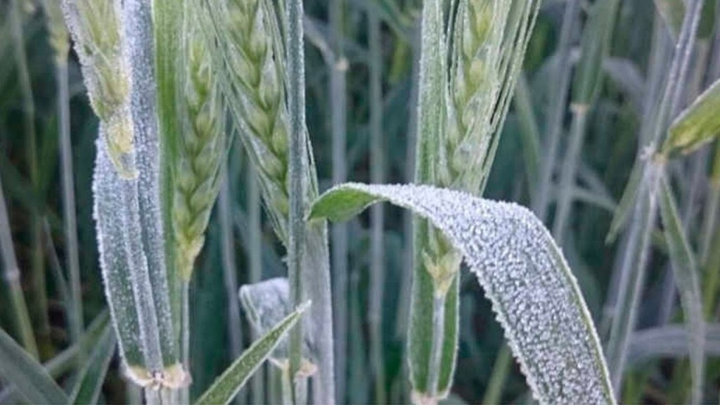 Inverno começa hoje e promete ser mais frio e seco do que o habitual