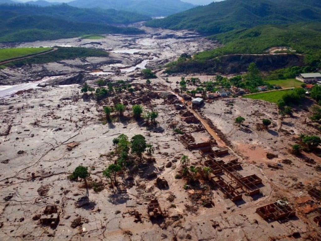 Reflorestamento com sementes da Mata Atlântica transforma vidas em Minas Gerais e Espírito Santo