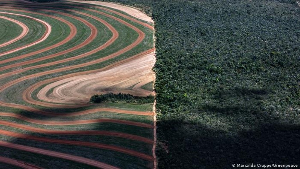 Moratória da soja: governo brasileiro pede o adiamento da lei da União Europeia