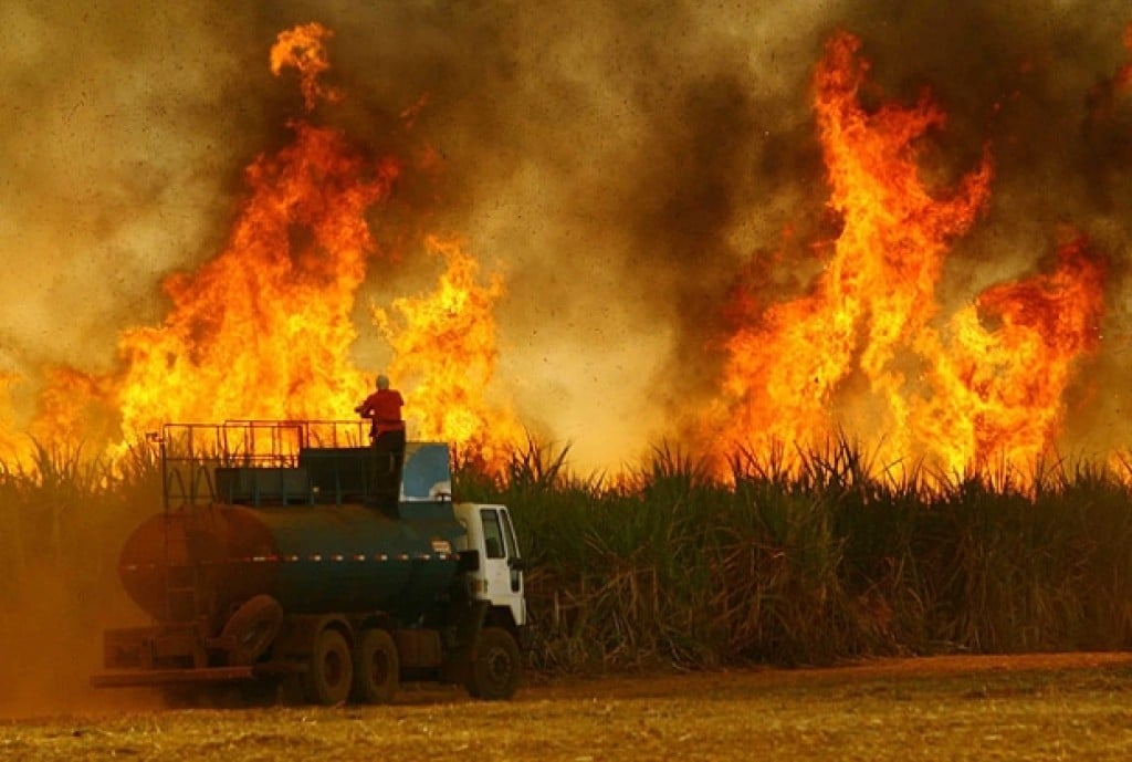 Seca e incêndios derrubam safra de cana em 9 milhões de toneladas