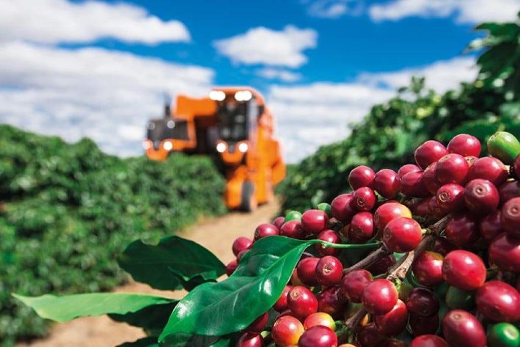 Colheita de café entra na fase final e exportações crescem 44%