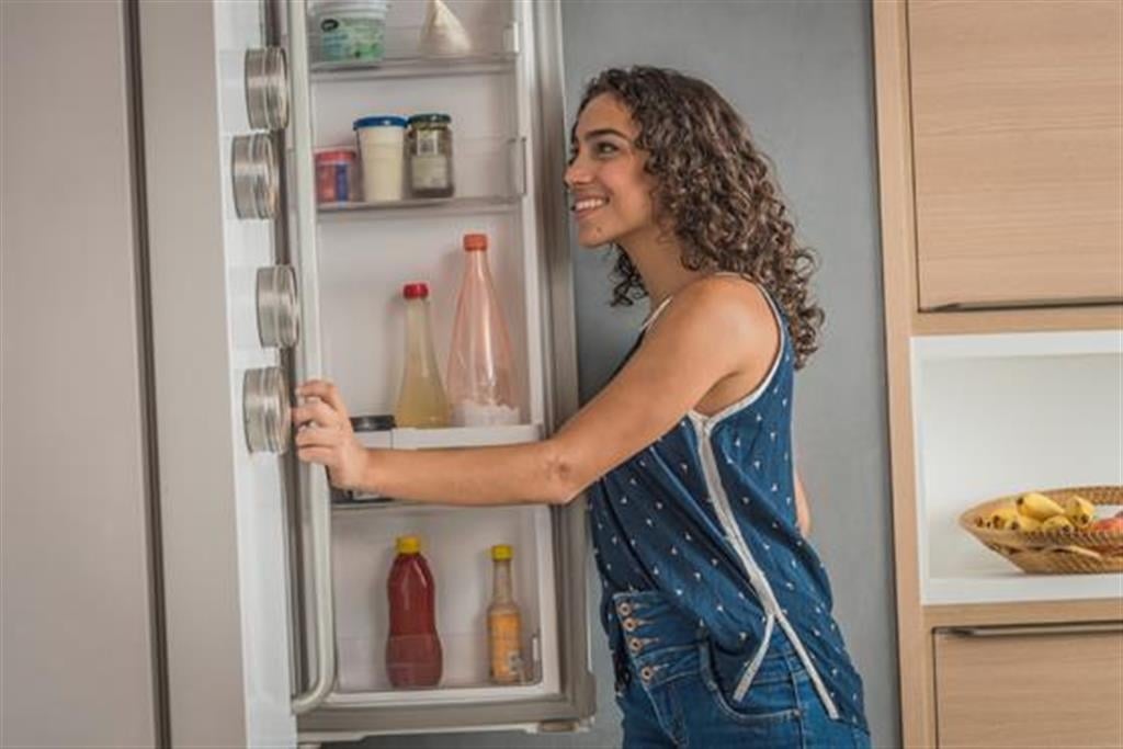 Geladeira representa até 30% do consumo, use de forma consciente – Divulgação